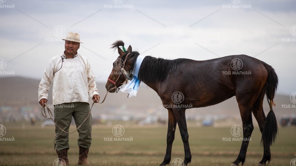  Халтар