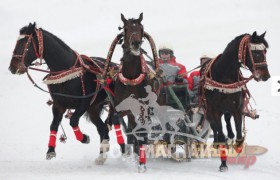 “Москвагийн өвөл -2013” Гурвалсан морин чарганы аварга шалгаруулах тэмцээн