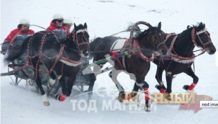 “Москвагийн өвөл -2013” Гурвалсан морин чарганы аварга шалгаруулах тэмцээн